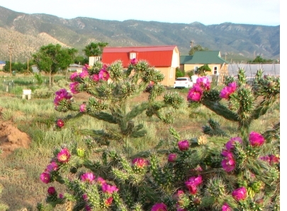 Farm