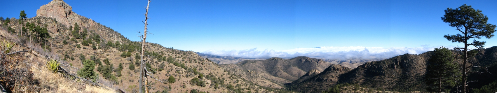 San Mateos view
